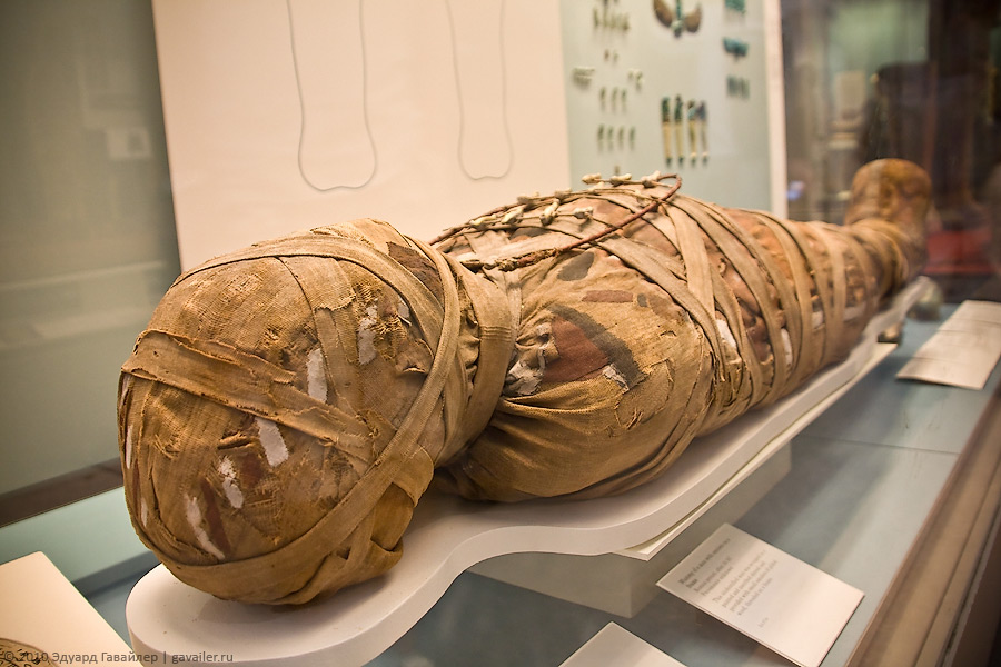 В каком музее лежит. Зал с мумиями британский музей в Лондоне. Британском музее в Лондоне Мумия. Мумии в египетском музее.